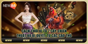 Cách chơi xì tố 7 cây: Chiến thuật và bí quyết từ các cao thủ