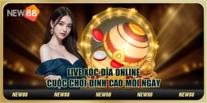 Live xóc đĩa tại New88 – Cuộc chơi đỉnh cao mỗi ngày