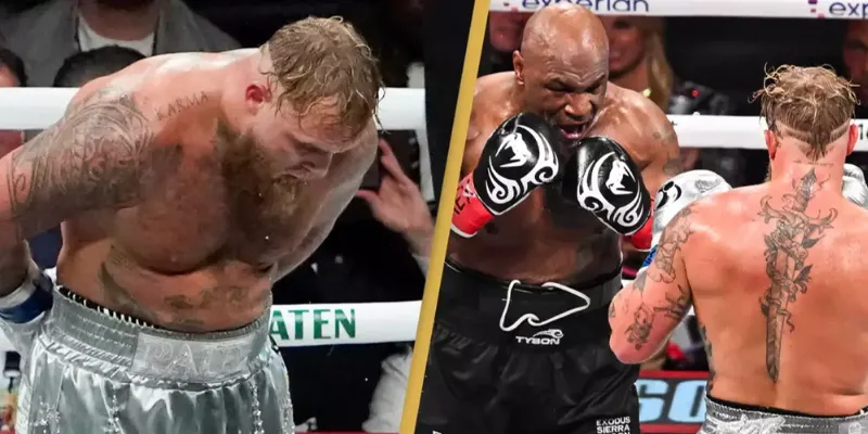 Một số lưu ý quan trọng khi cá cược quyền anh tại New88