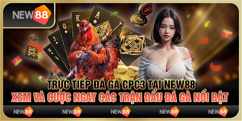 Trực Tiếp Đá Gà CPC3 tại New88 - Xem và cược ngay các trận đấu đá gà nổi bật
