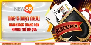 Top 5 mẹo chơi blackjack thắng lớn không thể bỏ qua