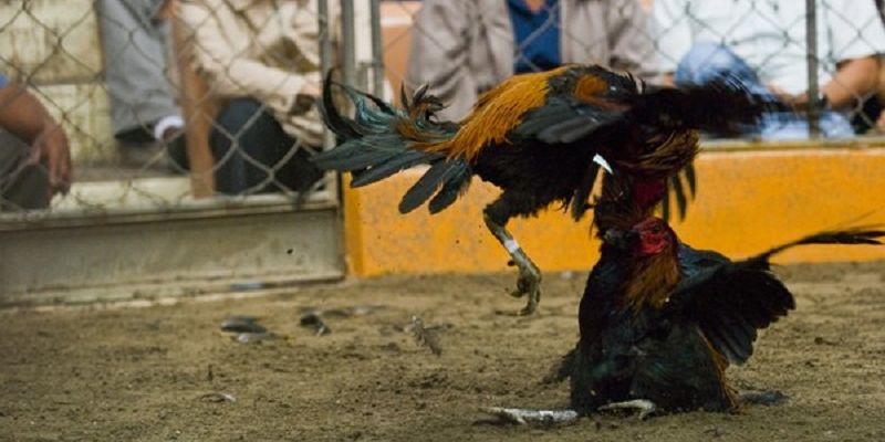 Sử dụng thuốc cần lưu ý