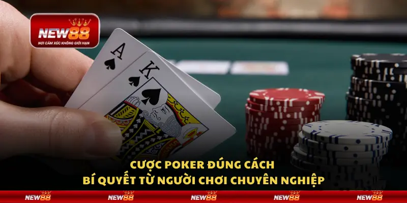 Cược Poker đúng cách - Bí quyết từ người chơi chuyên nghiệp