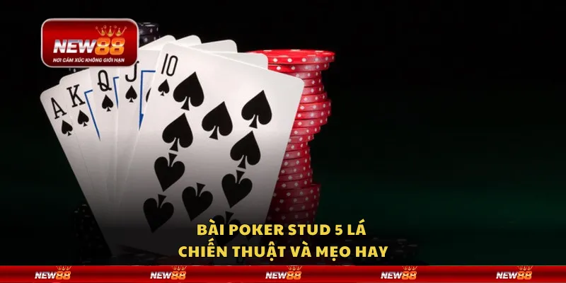 Bài Poker Stud 5 lá - Chiến thuật và mẹo hay