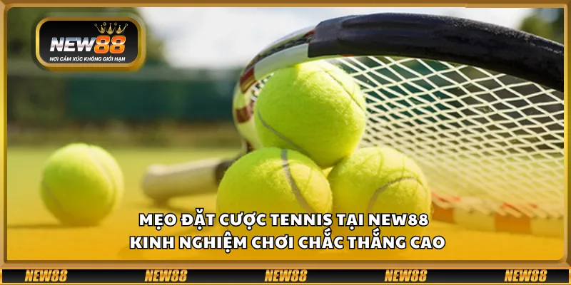 Mẹo đặt cược Tennis tại New88 – Kinh nghiệm chơi chắc thắng cao